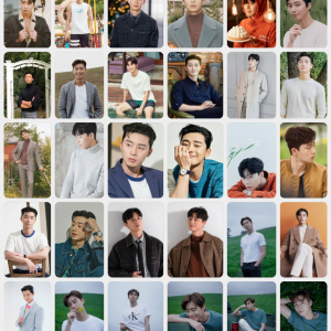 Park Seo Joon – Photocards