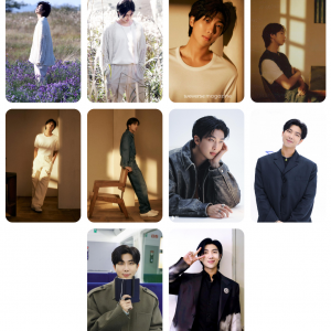 BTS RM – Indigo Photocards